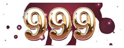 pk 999 logo